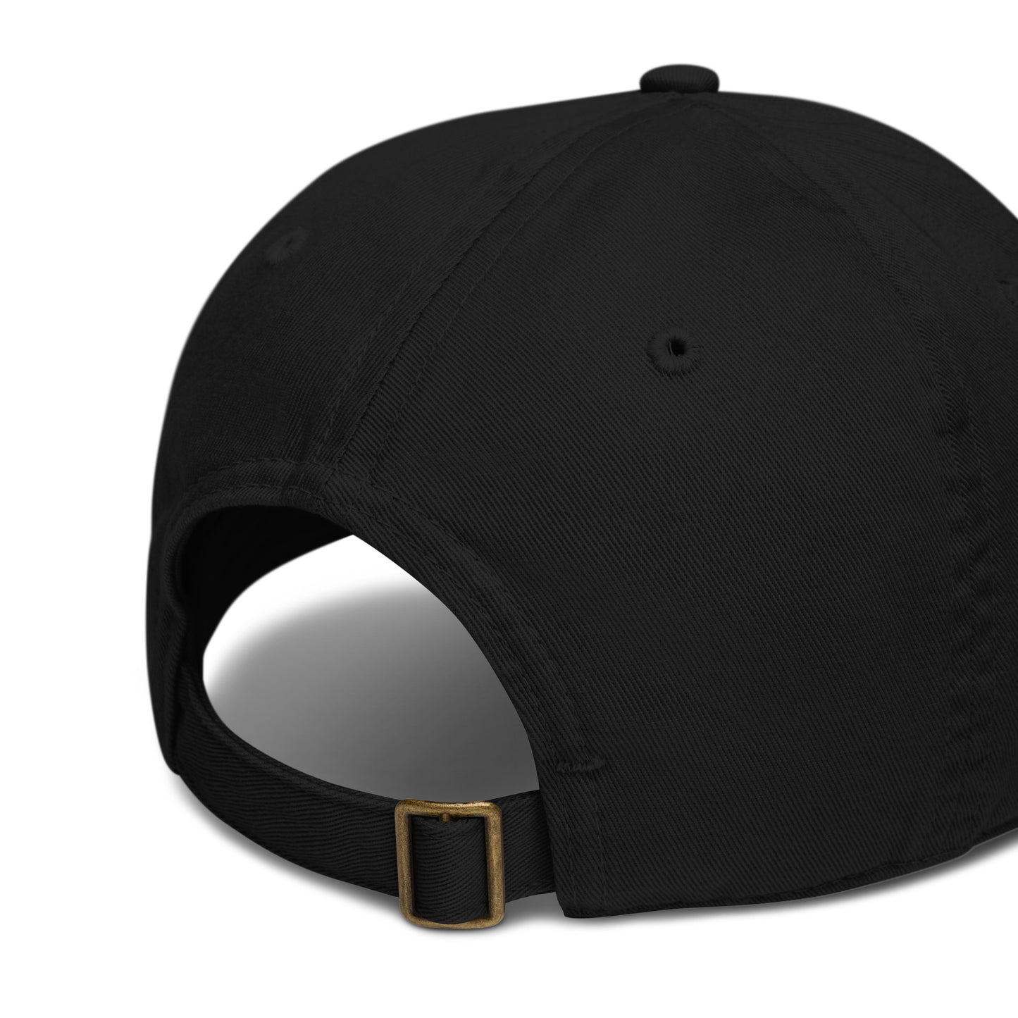 Aspire Basics Cap